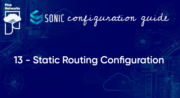 SONIC Static Routing