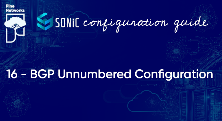 Enterprise SONiC BGP Unnnumbered