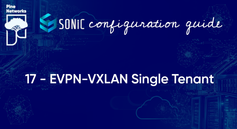 Enterprise SONiC EVPN-VXLAN