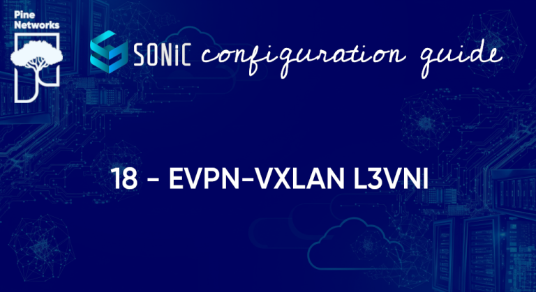 Enterprise SONiC EVPN-VXLAN L3VNI